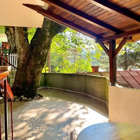 за гости “попина лъка” *