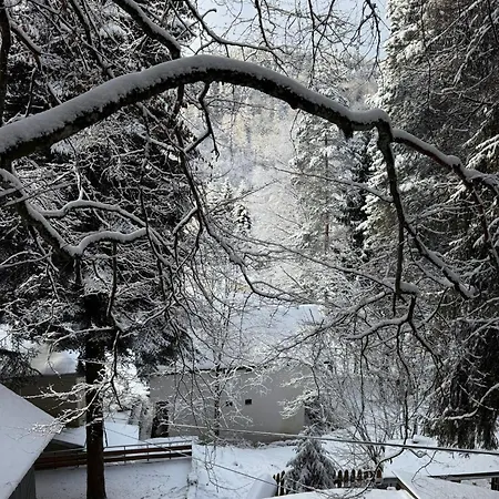 за гости “попина лъка” Vikhren