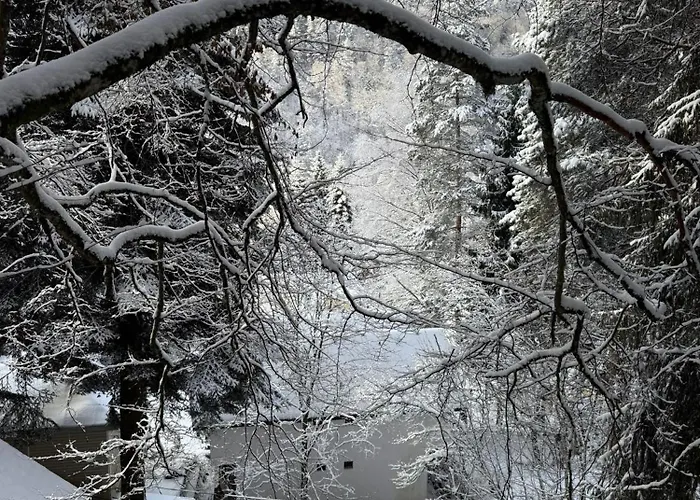 за гости “попина лъка” Vikhren